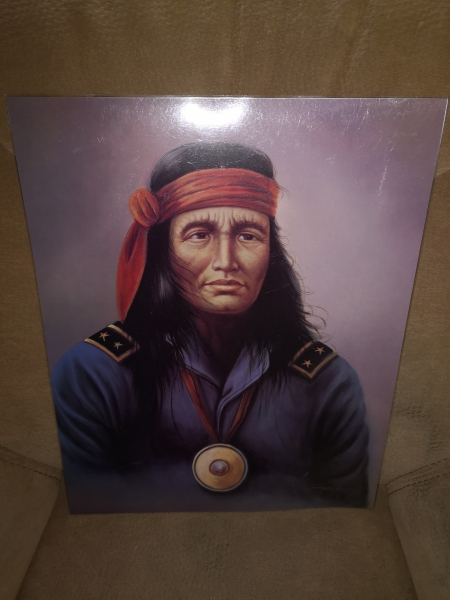 Indianer Poster Geronimo